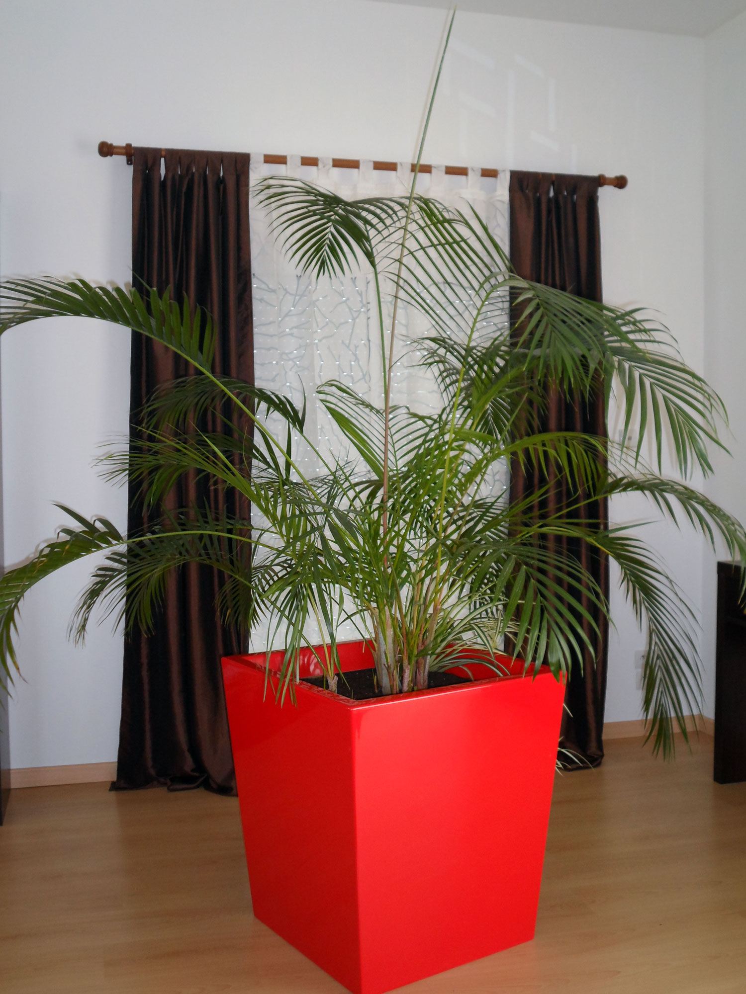 Pots De Fleurs